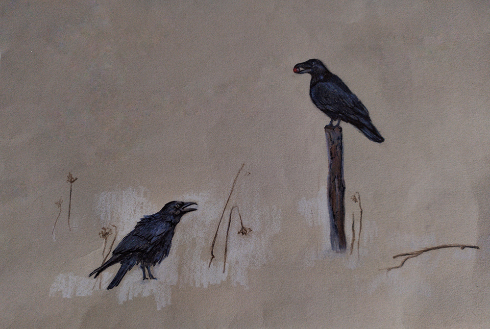 Fatma Temel's work