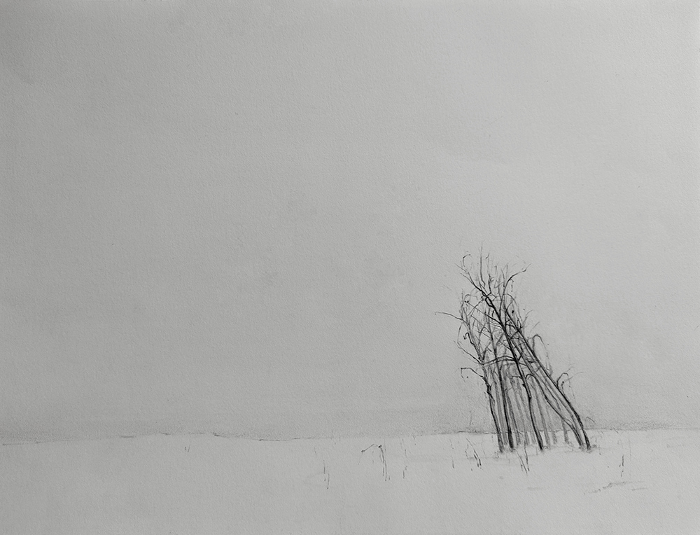 Fatma Temel's work
