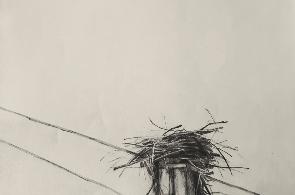Fatma Temel's work