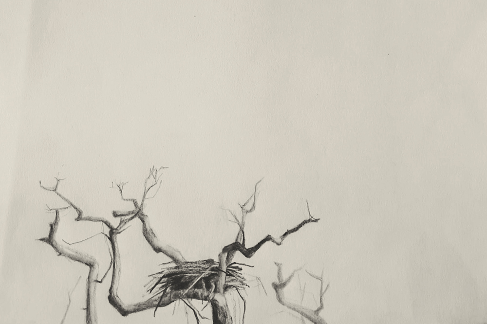 Fatma Temel's work